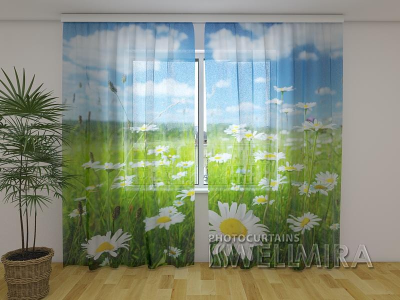 Dienas un nakts aizkari - Provansas kamoliņi 180 x 140 cm (2X 90x140 cm) / Сaurspīdīgs šifons E-interjers.lv