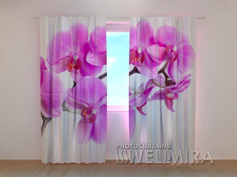 Dienas un nakts aizkari - Purpursarkanā laime 180 x 140 cm (2X 90x140 cm) / SCREEN E-interjers.lv