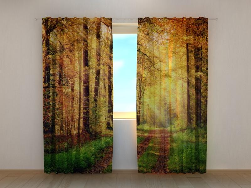 Dienas un nakts aizkari - Rudens ceļš 180 x 140 cm (2X 90x140 cm) / SCREEN E-interjers.lv