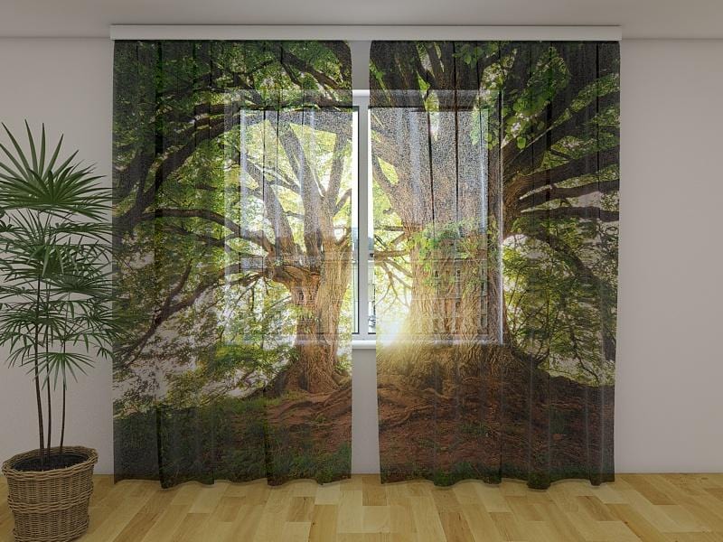Dienas un nakts aizkari - Skaisti veci koki 180 x 140 cm (2X 90x140 cm) / Сaurspīdīgs šifons E-interjers.lv