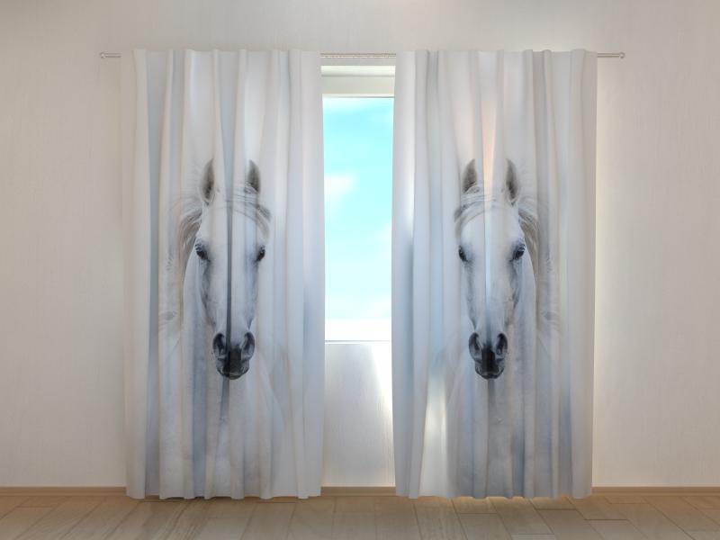 Dienas un nakts aizkari - Sniegaini balts arābu ērzelis 180 x 140 cm (2X 90x140 cm) / SCREEN E-interjers.lv