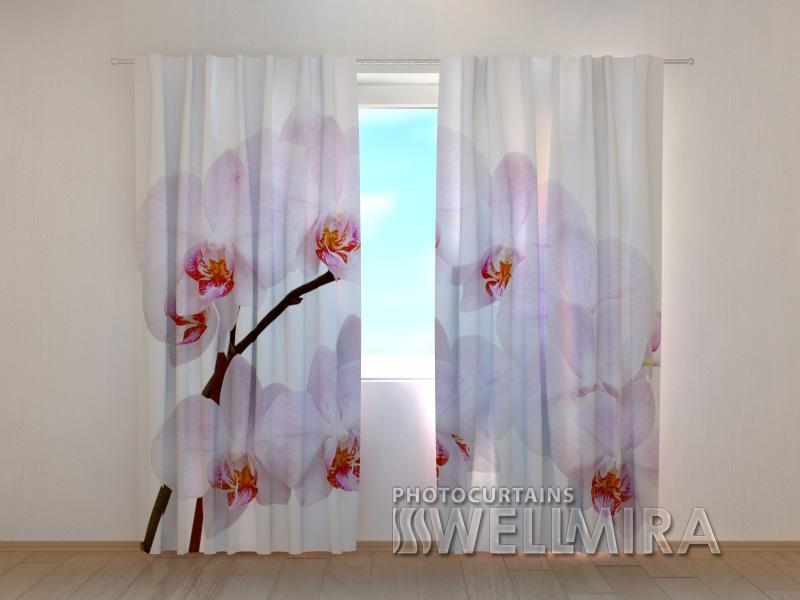 Dienas un nakts aizkari - Sniegbaltā orhideja 180 x 140 cm (2X 90x140 cm) / SCREEN E-interjers.lv