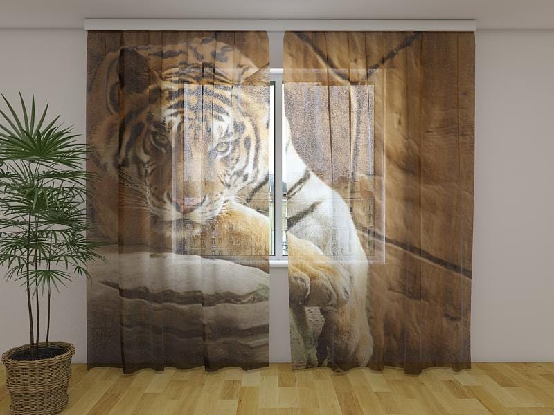 Dienas un nakts aizkari - Tīģeris uz klints 180 x 140 cm (2X 90x140 cm) / Сaurspīdīgs šifons E-interjers.lv