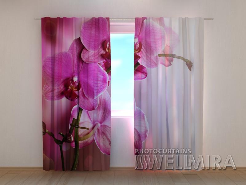 Dienas un nakts aizkari - Violetā orhideja 180 x 140 cm (2X 90x140 cm) / SCREEN E-interjers.lv