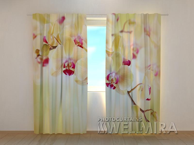 Dienas un nakts aizkari - Zeltainas orhidejas 180 x 140 cm (2X 90x140 cm) / SCREEN E-interjers.lv