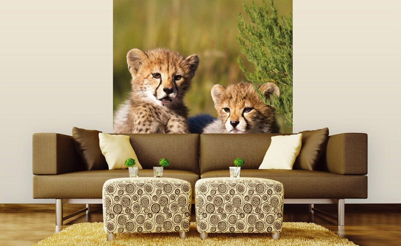 Flizelīna fototapetes ar dzīvniekiem - Gepardi 225 x 250 cm D-ART