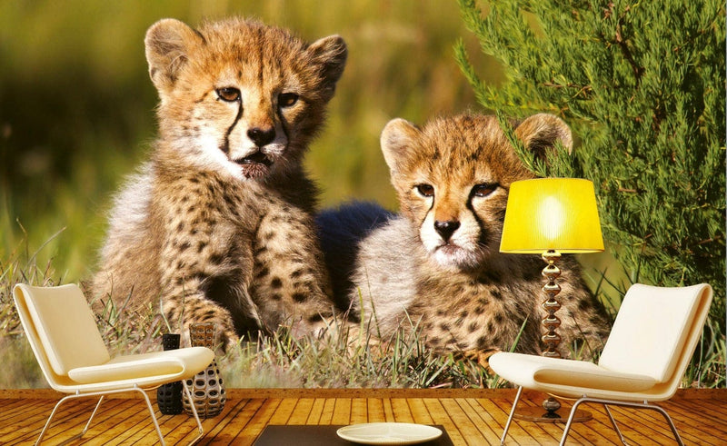 Flizelīna fototapetes ar dzīvniekiem - Gepardi 375 x 250 cm D-ART