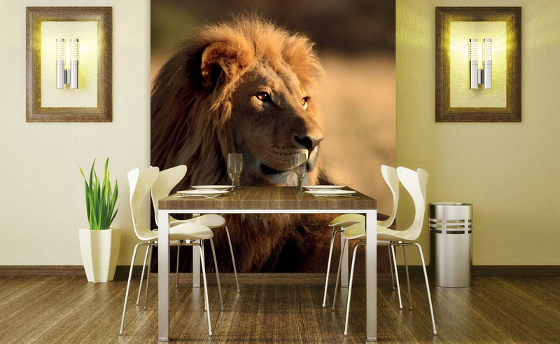 Flizelīna fototapetes ar dzīvniekiem - Lauva 225 x 250 cm D-ART