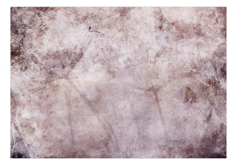 Flizelīna fototapetes ar pienenēm, 138472 G-ART