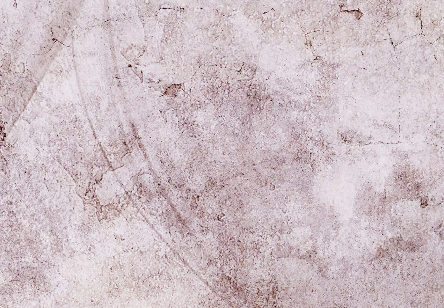 Flizelīna fototapetes ar pienenēm, 138472 G-ART