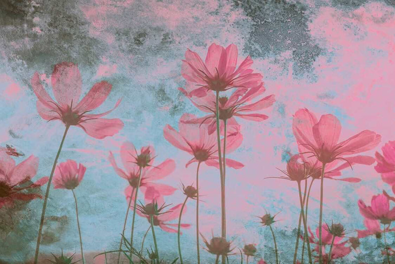Flizelīna fototapetes ar pļavas ziediem rozā un zilos toņos, D362 D-ART