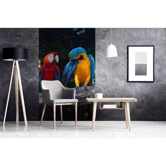 Flizelīna fototapetes ar putniem - Krāsaini papagaiļi 150 x 250 cm D-ART