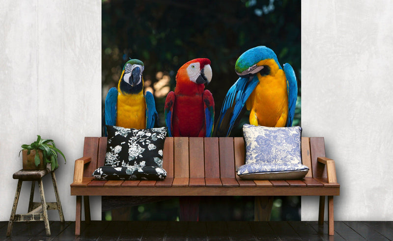 Flizelīna fototapetes ar putniem - Krāsaini papagaiļi 225 x 250 cm D-ART