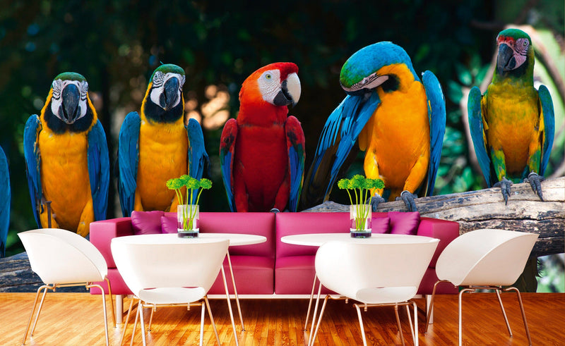 Flizelīna fototapetes ar putniem - Krāsaini papagaiļi 375 x 250 cm D-ART
