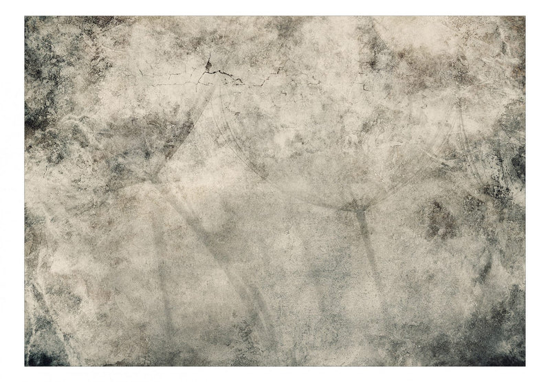 Flizelīna fototapetes ar ziediem - Pelēkas pienenes, 138471 G-ART