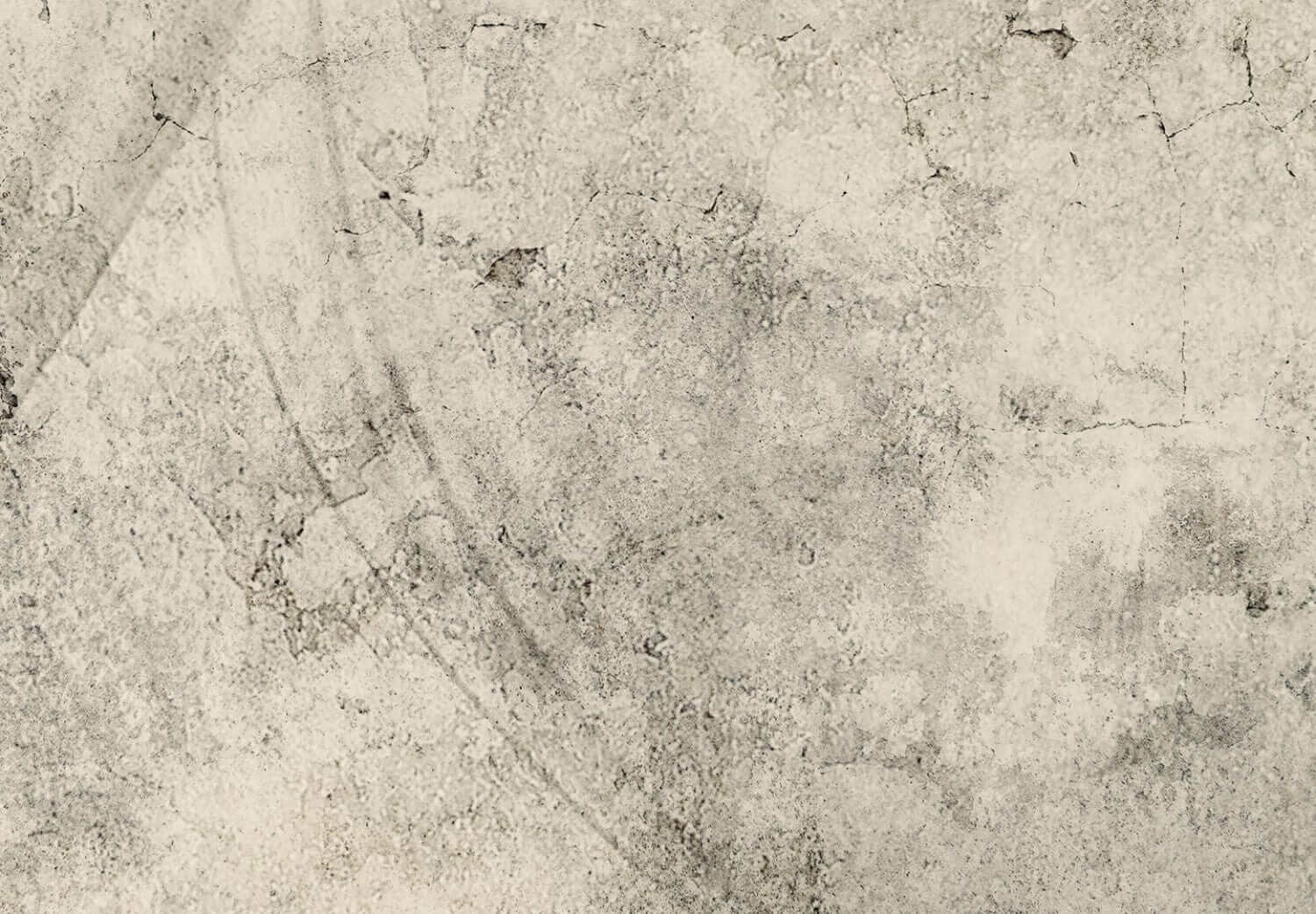 Flizelīna fototapetes ar ziediem - Pelēkas pienenes, 138471 G-ART