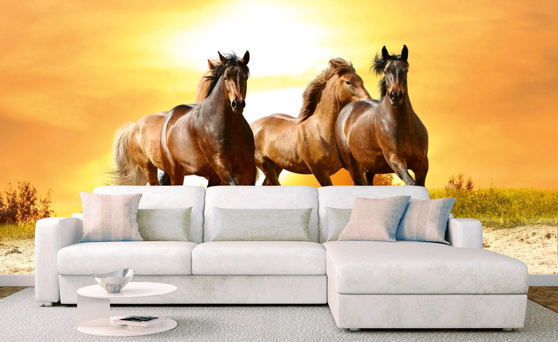 Flizelīna fototapetes ar zirgiem - Zirgi saulrieta laikā 375 x 250 cm D-ART