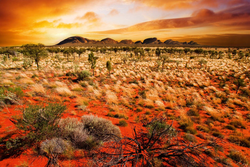 Flizelīna fototapetes - Austrālijas ainava D-ART