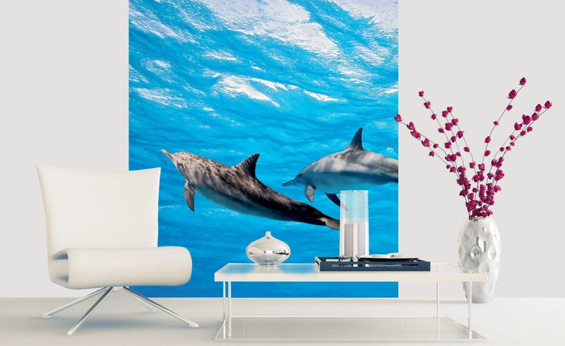 Flizelīna fototapetes - Delfīni 225 x 250 cm D-ART