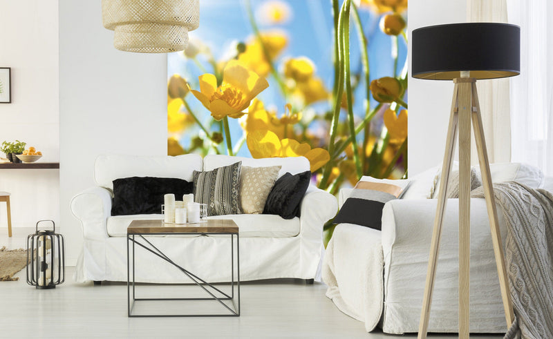 Flizelīna fototapetes - Dzelteni pļavas ziedi 225 x 250 cm D-ART