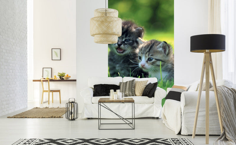 Flizelīna fototapetes - Kaķēni 150 x 250 cm D-ART