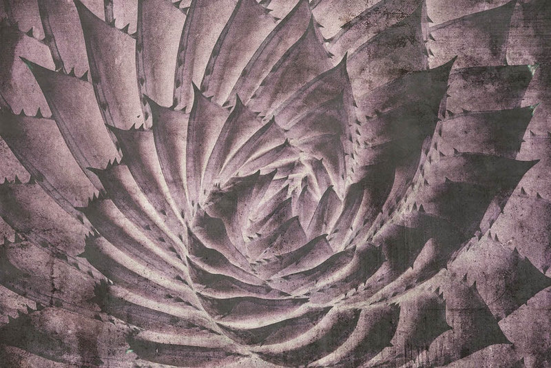Flizelīna fototapetes - Kaktuss D-ART