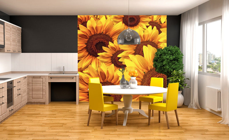 Flizelīna fototapetes - Košas saulespuķes 225 x 250 cm D-ART