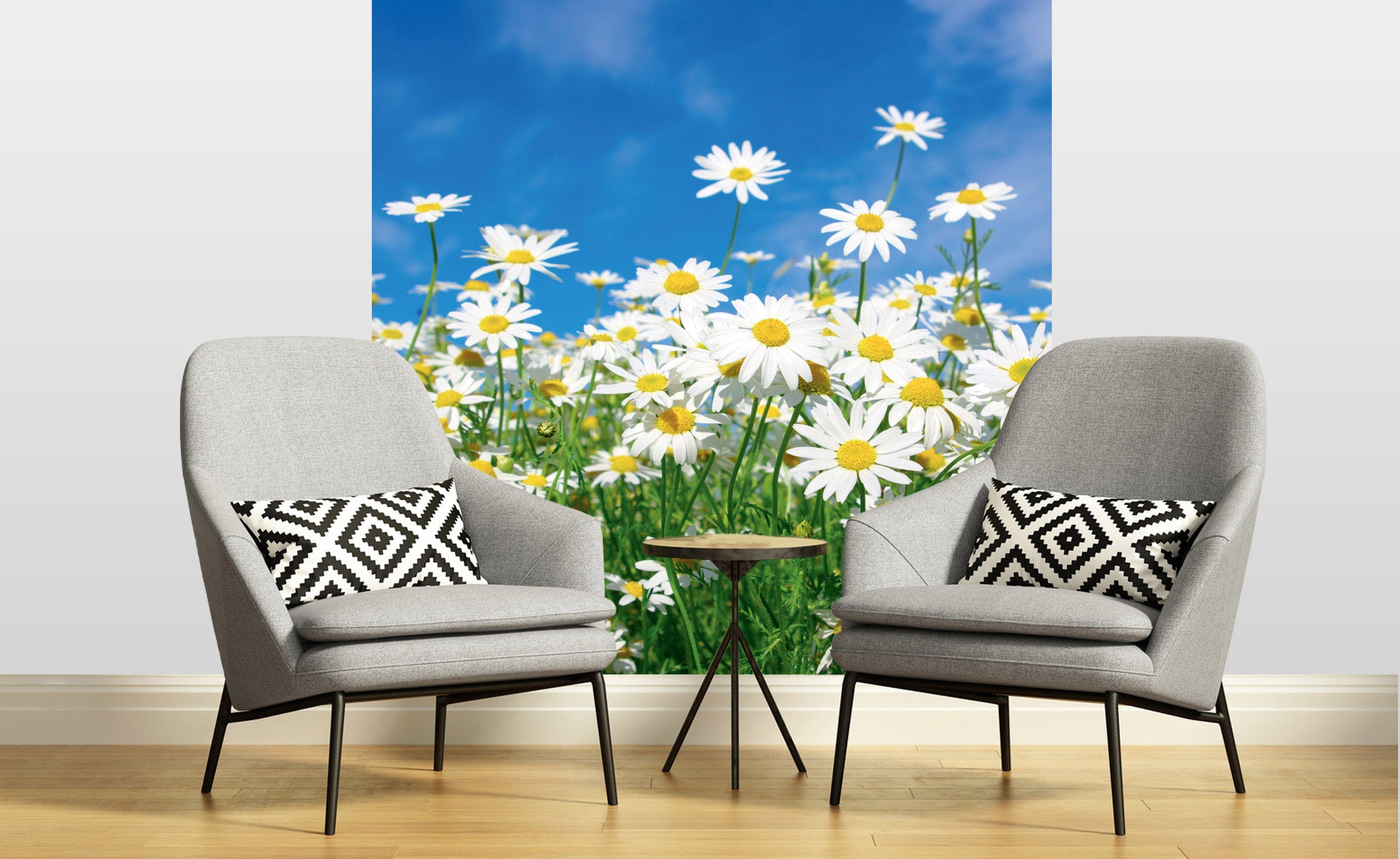 Flizelīna fototapetes - Margrietiņas 225 x 250 cm D-ART