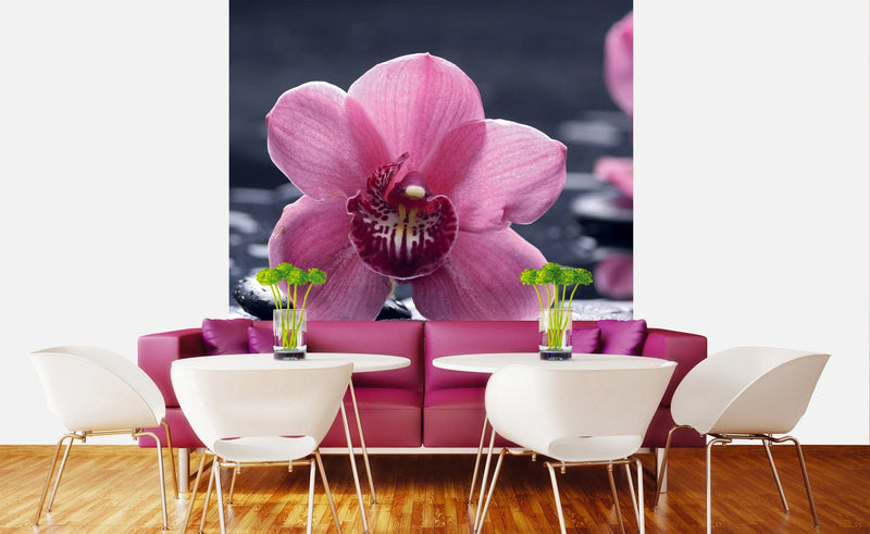 Flizelīna fototapetes - Orhidejas 225 x 250 cm D-ART