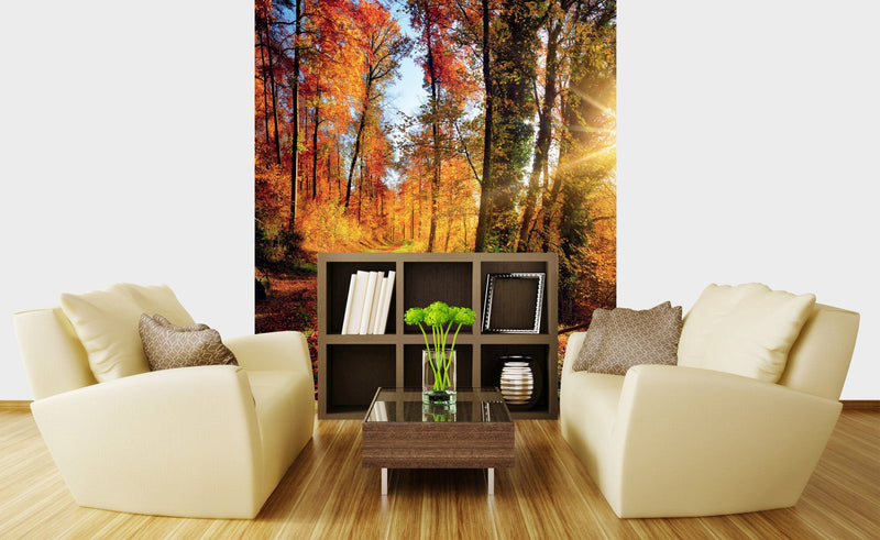 Flizelīna fototapetes - Pastaiga mežā 225 x 250 cm D-ART