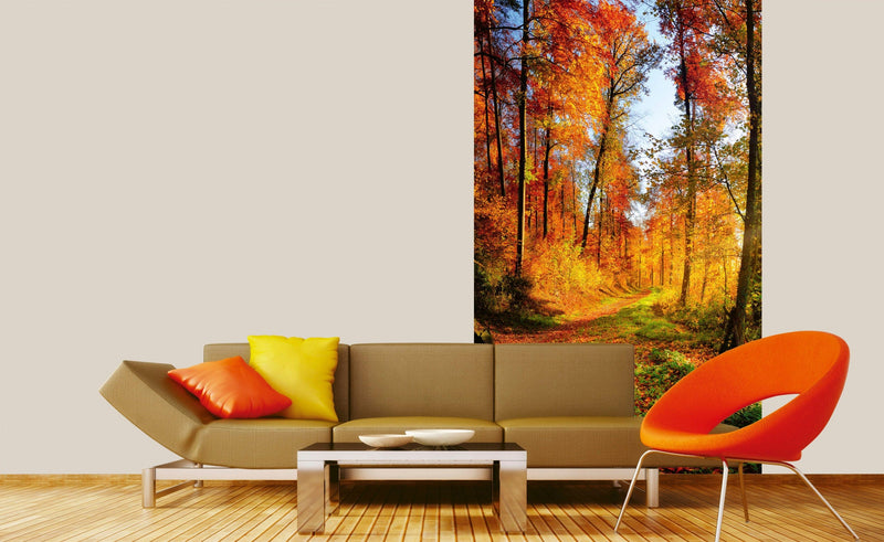 Flizelīna fototapetes - Pastaiga mežā 150 x 250 cm D-ART
