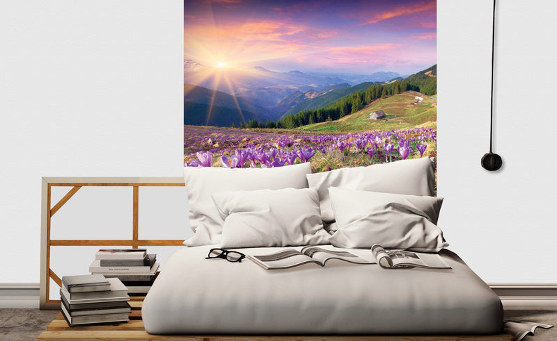 Flizelīna fototapetes - Pavasara krokusi 225 x 250 cm D-ART