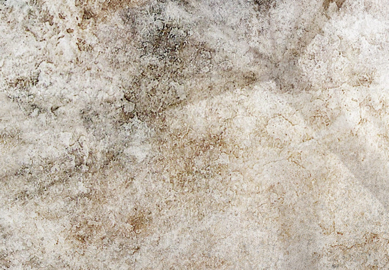 Flizelīna fototapetes - Pienenes, kompozīcija ar ziedu motīvu, 138470 G-ART