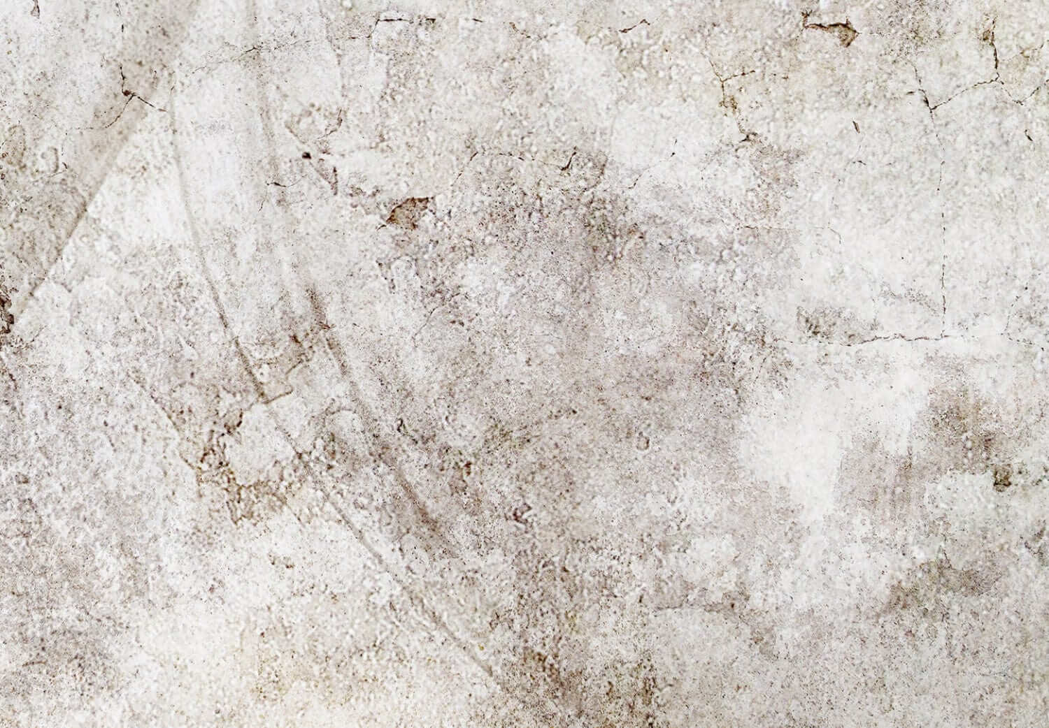 Flizelīna fototapetes - Pienenes, kompozīcija ar ziedu motīvu, 138470 G-ART