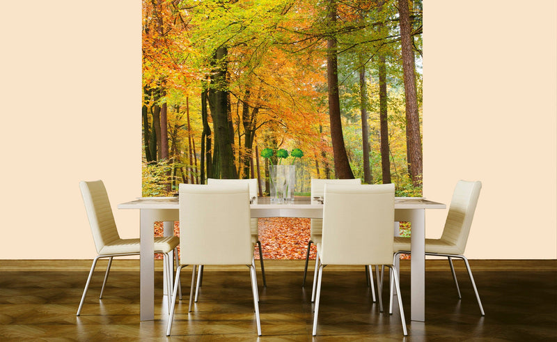 Flizelīna fototapetes - Rudens meža skaistums 225 x 250 cm D-ART