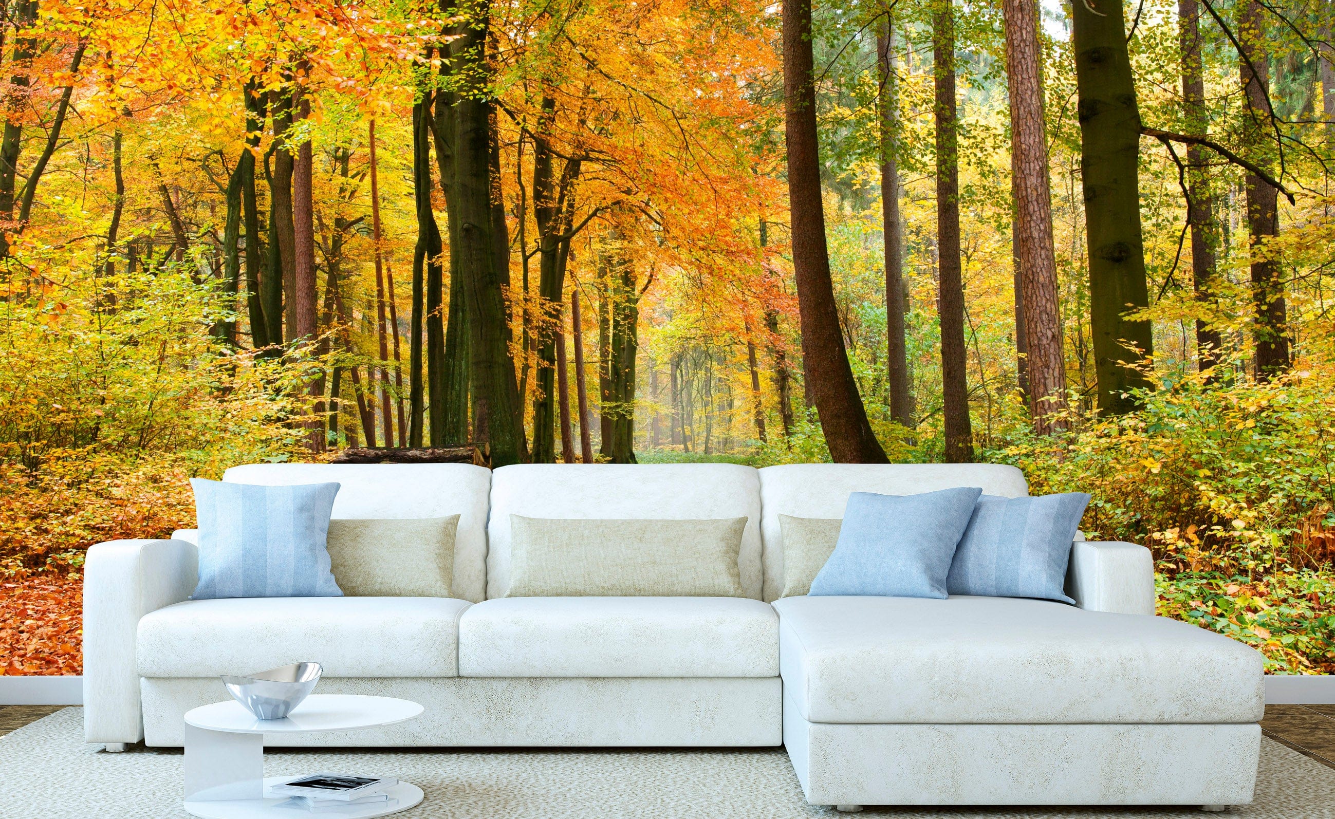 Flizelīna fototapetes - Rudens meža skaistums 375 x 250 cm D-ART