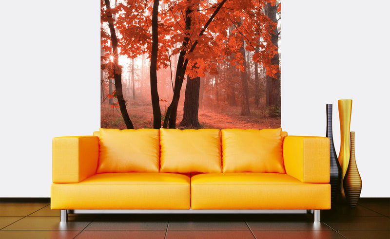 Flizelīna fototapetes - Rudens mežs 225 x 250 cm D-ART