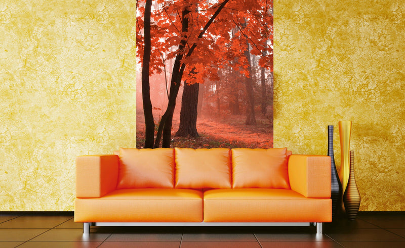 Flizelīna fototapetes - Rudens mežs 150 x 250 cm D-ART