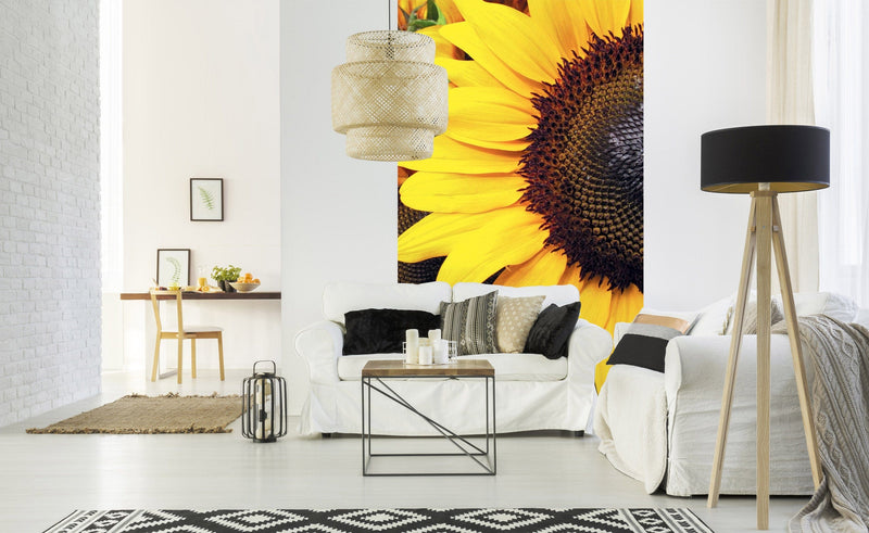 Flizelīna fototapetes - Saulespuķes 150 x 250 cm D-ART