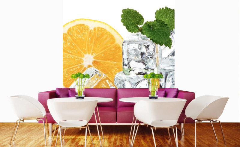 Flizelīna fototapetes - virtuvei - Citrons un ledus 225 x 250 cm D-ART