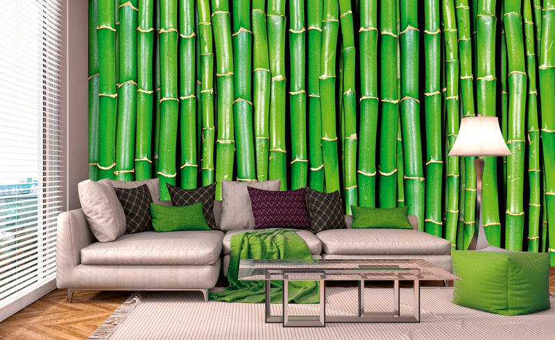 Flizelīna fototapetes - Zaļš bambuss 375 x 250 cm D-ART