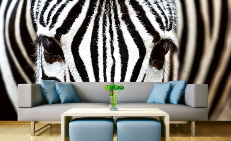 Flizelīna fototapetes - Zebra 375 x 250 cm D-ART