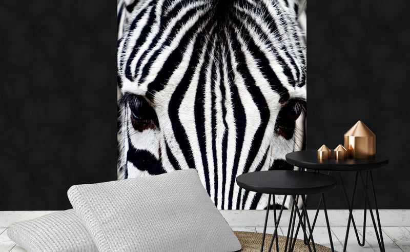 Flizelīna fototapetes - Zebra 225 x 250 cm D-ART