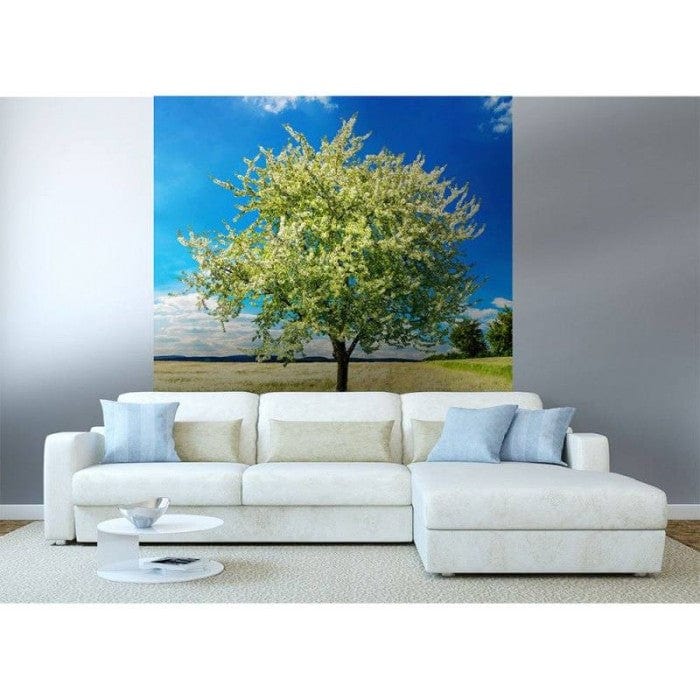 Flizelīna fototapetes - Ziedošs koks un saulaina diena 225 x 250 cm D-ART