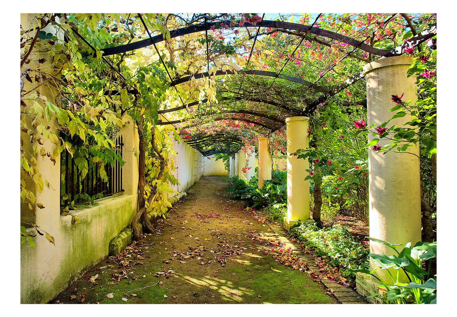 Fototapetes ar arku no zaļumiem un ziediem - Pergola, 60274 E-interjers.lv