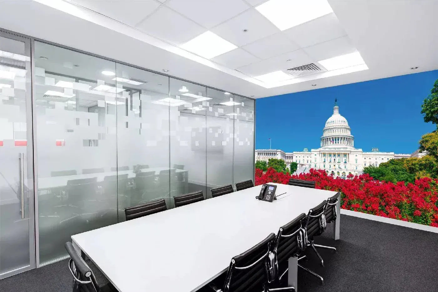 Fototapetes ar ASV tematiku - ASV Kapitolijs un ziedi, 375x250 cm D-ART