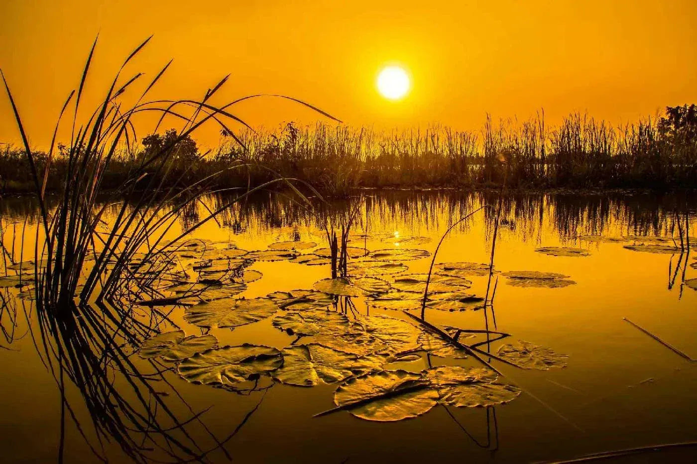 Fototapetes ar dabu - Ezers Taizemē, 375x250 cm D-ART