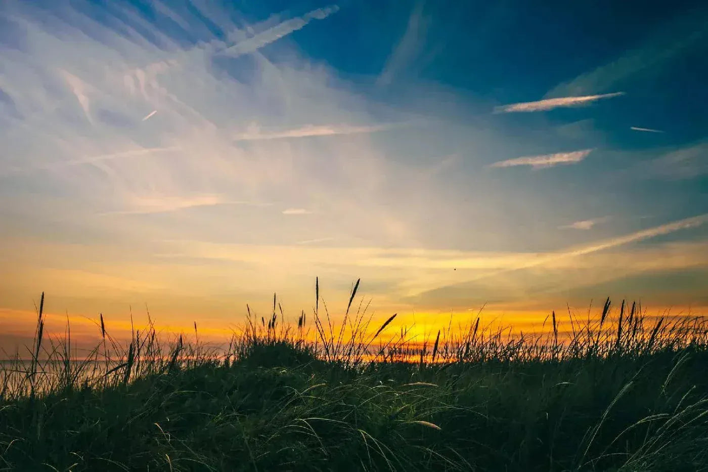 Fototapetes ar jūras skatu - Jūra Nīderlandē, N3207, 375x250 cm D-ART
