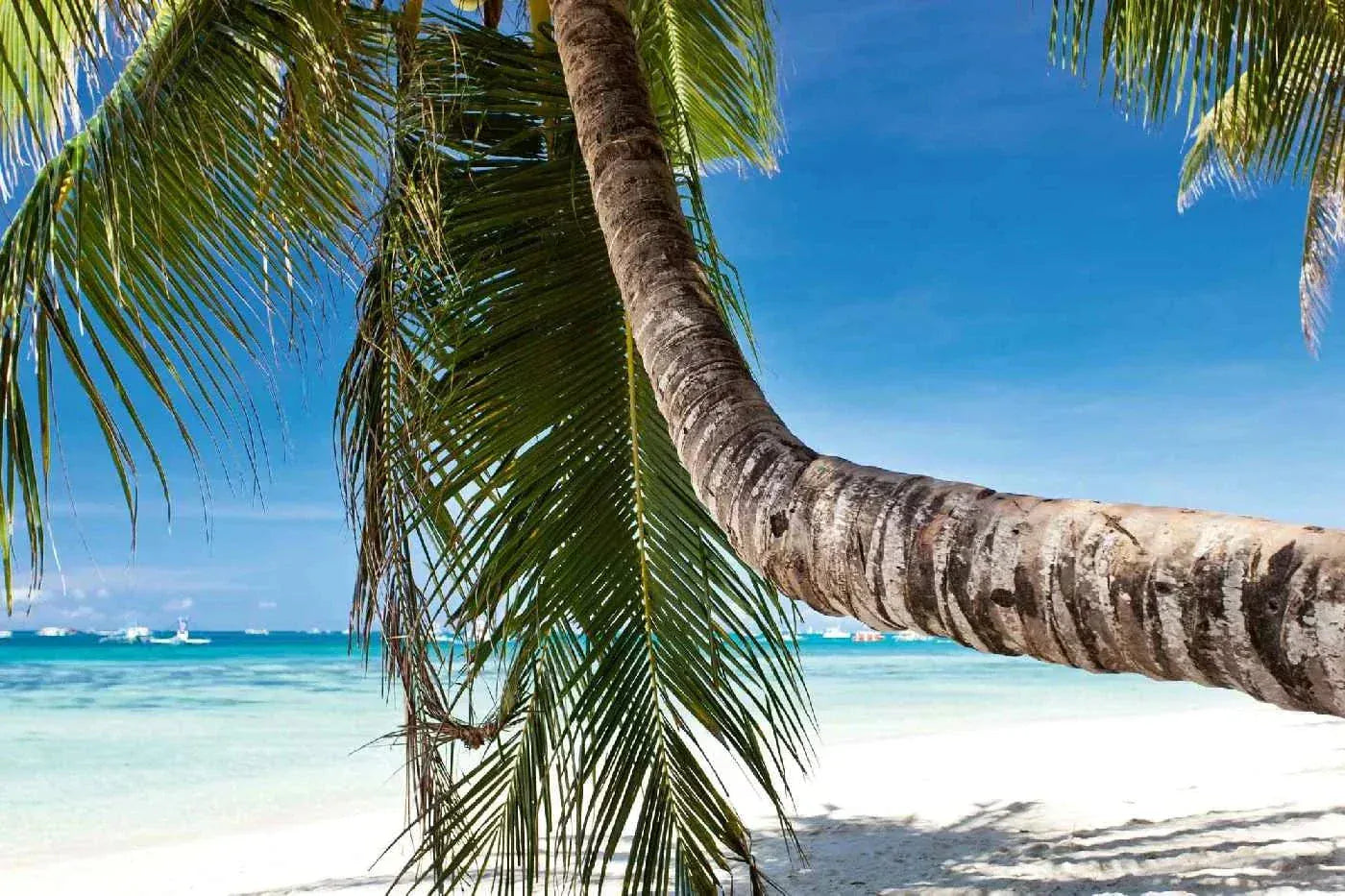 Fototapetes ar jūras skatu - Palma uz tropiskas pludmales, N3201, 375x250 cm D-ART