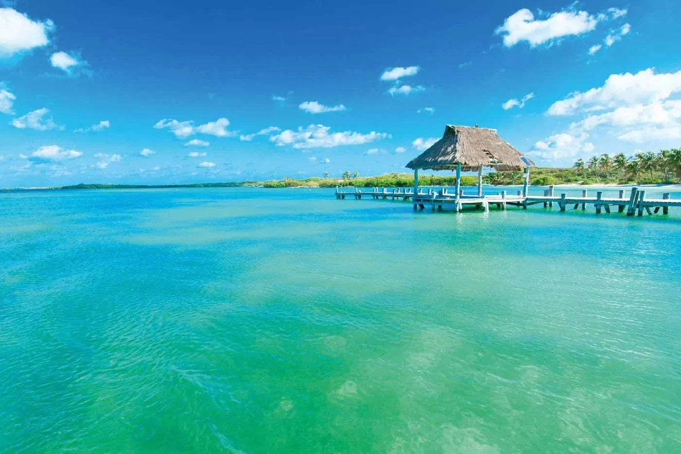 Fototapetes ar tropisko jūru - Tropu jūra, (375x250 cm) D-ART